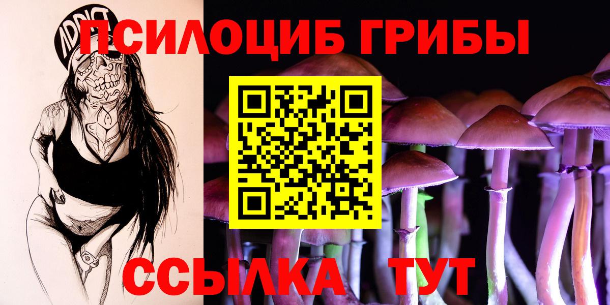 Псилоцибиновые грибы MAGIC MUSHROOMS  Вход с VPN  Галлюциногенные грибы MAGIC MUSHROOMS  Мичуринск 
