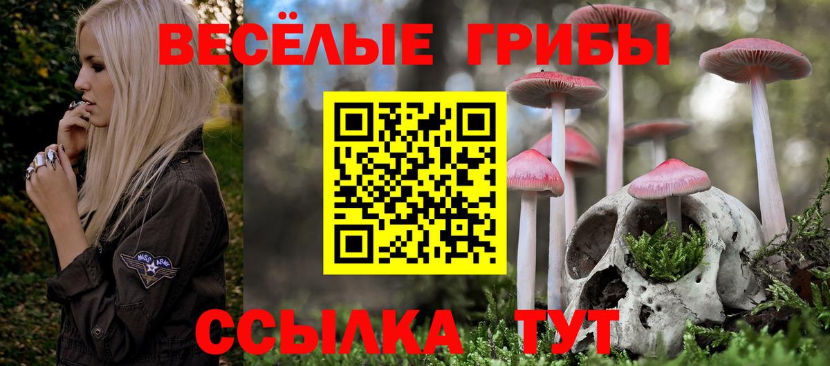 Псилоцибиновые грибы GOLDEN TEACHER Мичуринск